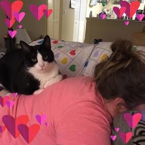 Meet your Posher, Lacey